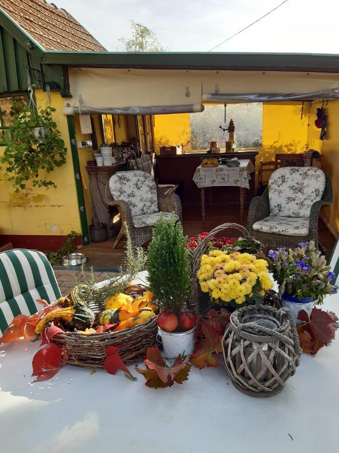Villa-Magdi Vendeghaz Révfülöp Zewnętrze zdjęcie
