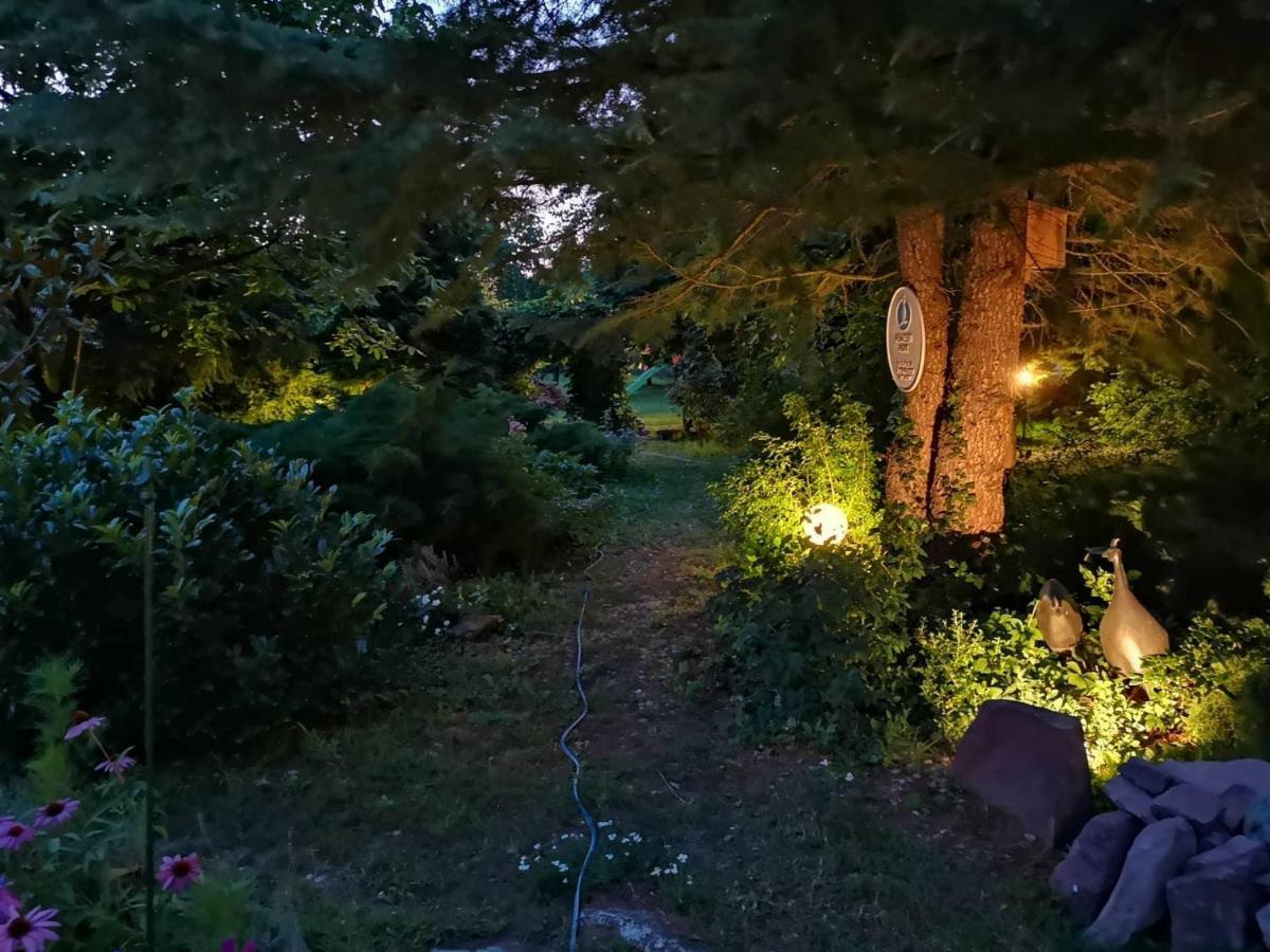 Villa-Magdi Vendeghaz Révfülöp Zewnętrze zdjęcie